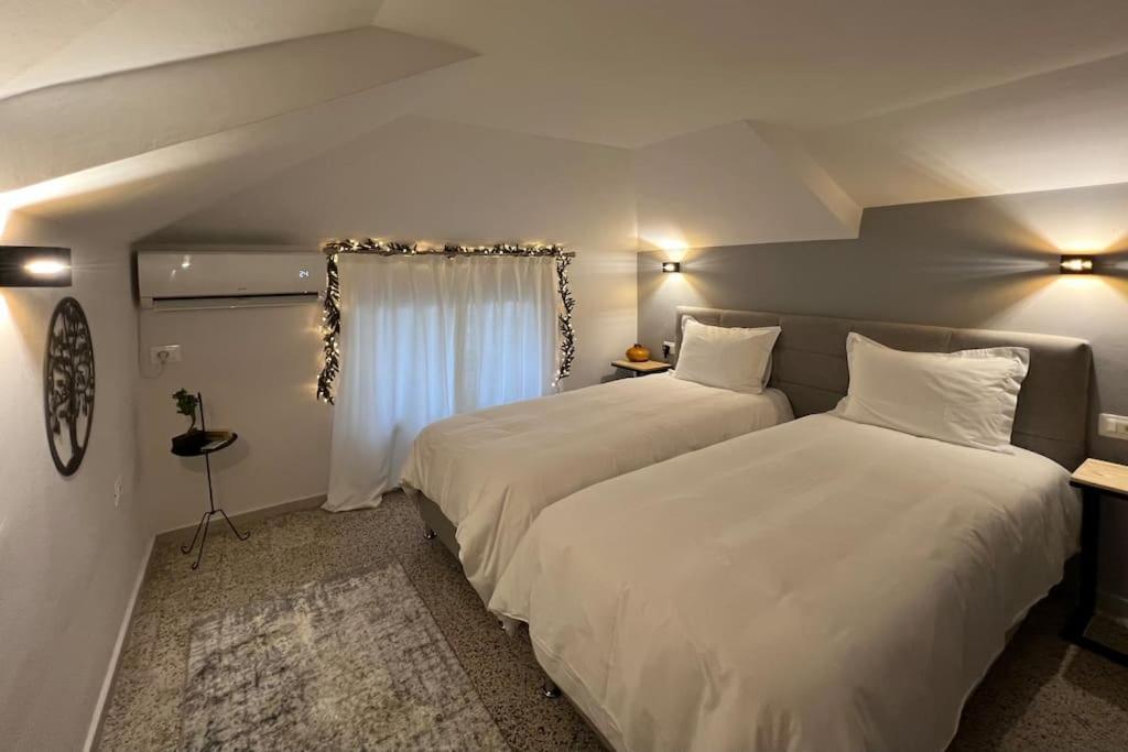 Jonexh Apartments Tirana Zewnętrze zdjęcie