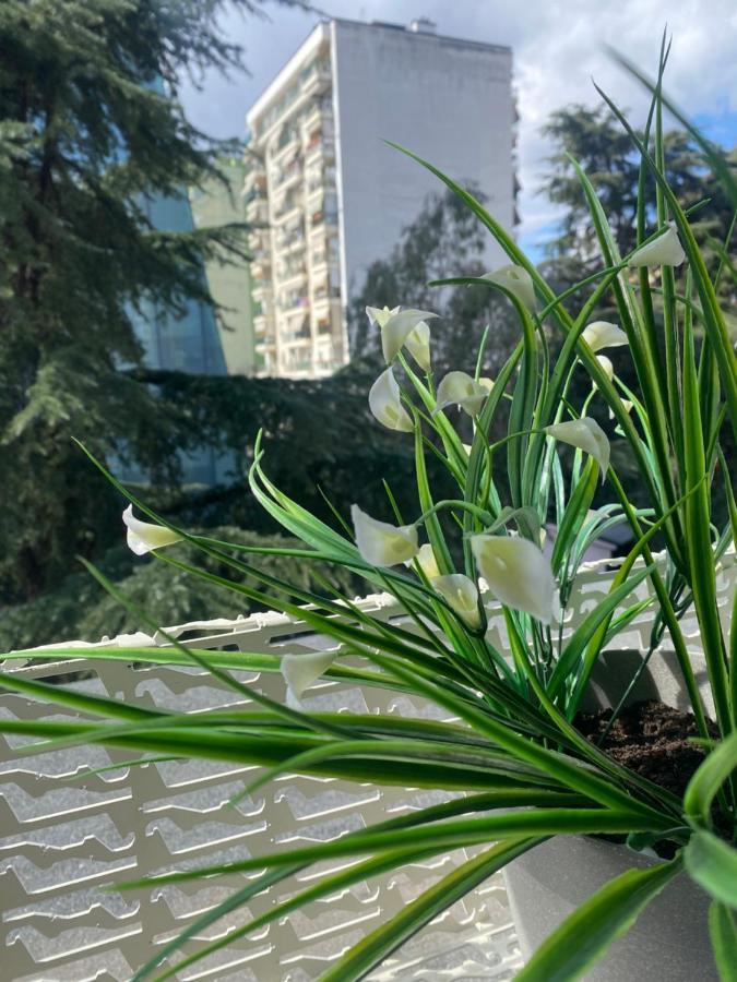 Jonexh Apartments Tirana Zewnętrze zdjęcie