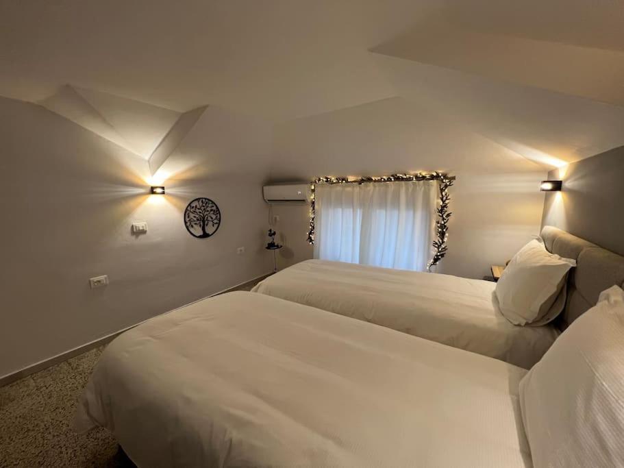 Jonexh Apartments Tirana Zewnętrze zdjęcie